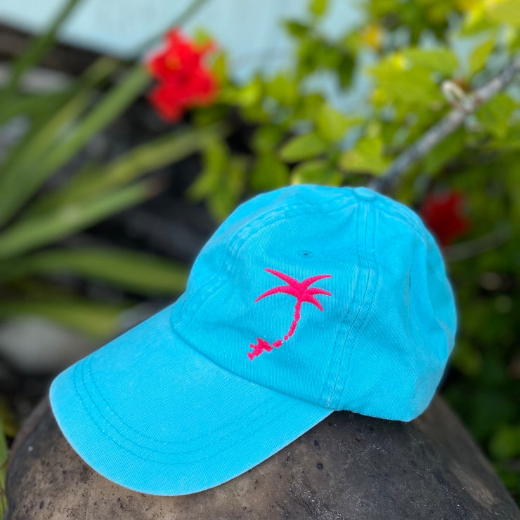 Embroidered Offset Palmap Dad Hat - Teal  / Pink