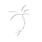 Decal - White Vinyl / Palmap = 1/2 Palm tree plus map of the Florida Keys